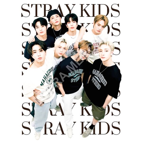 STRAY SELFIE Miniatura