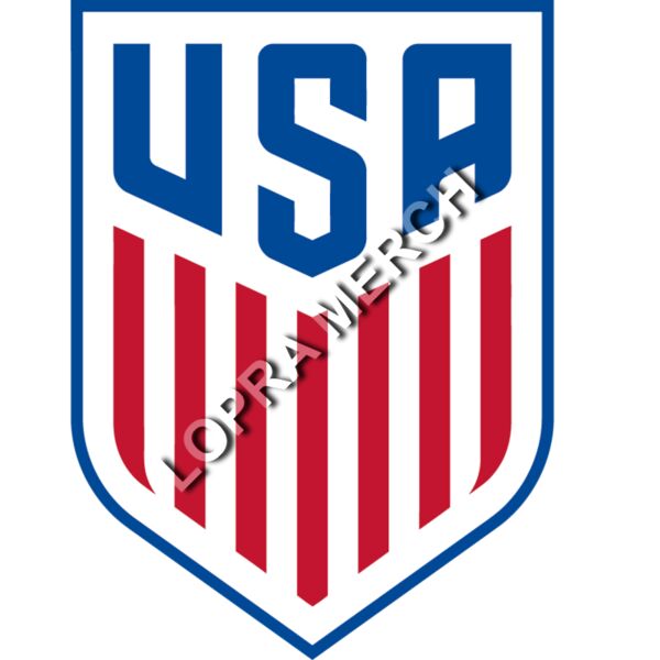 USA LOGO Miniatura